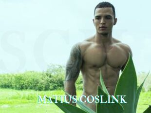 MATIUS_COSLINK