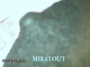MIRATOUT