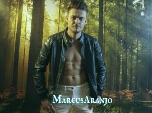 MarcusAranjo