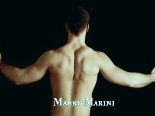 Marko_Marin1