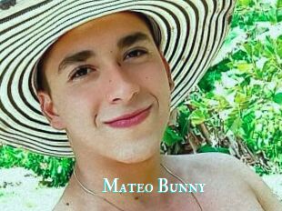 Mateo_Bunny