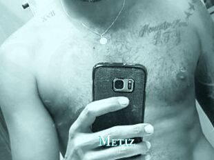 Metiz