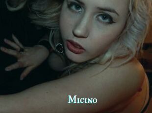 Micino