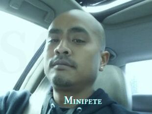 Minipete