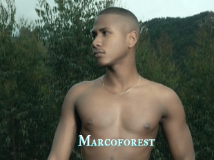 Marcoforest