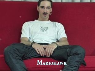 Mariohawk