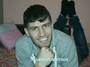Mariohornyboy