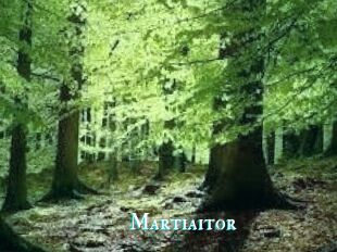 Martiaitor