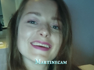 Martinecam