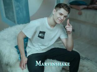 Marvinshake