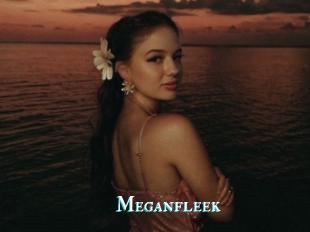 Meganfleek