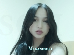 Meganosori