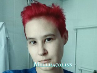 Mellisacolins
