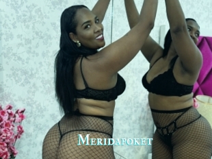 Meridapoket