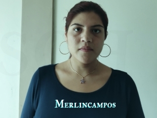 Merlincampos
