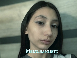 Merylhammett