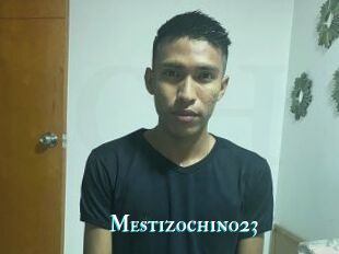 Mestizochino23