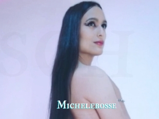 Michelebosse