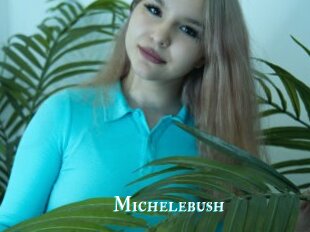Michelebush