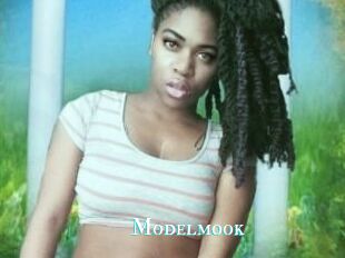 Modelmook
