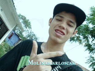 Molinascarloscam