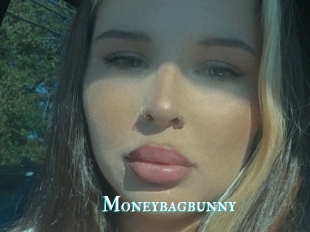 Moneybagbunny