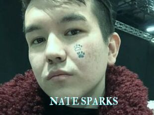NATE_SPARKS