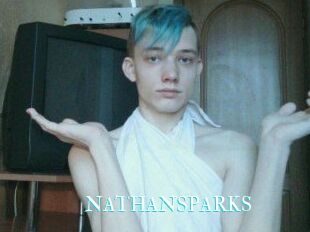 NATHAN_SPARKS