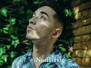 NoaHarris