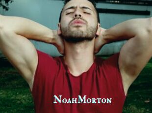 NoahMorton