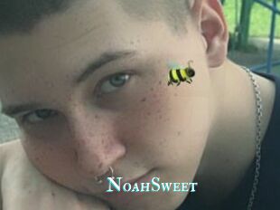 NoahSweet