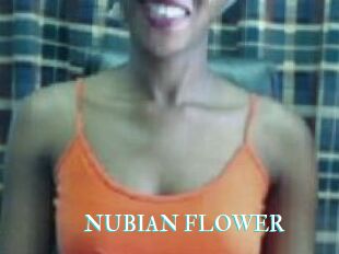 _NUBIAN_FLOWER_
