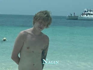 Nagin