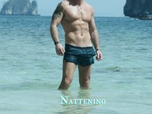 Nattenino