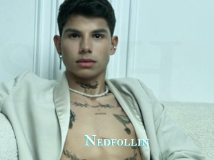 Nedfollin