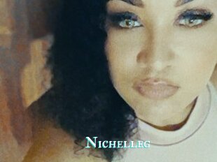 Nichelleg