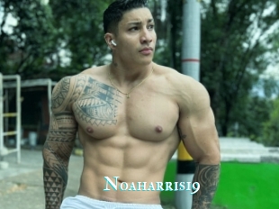 Noaharris19