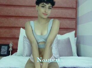 Noahhale