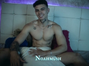 Noahmush