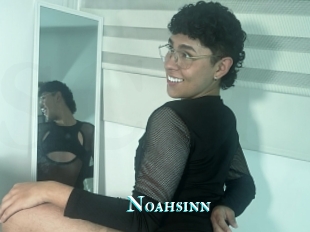 Noahsinn