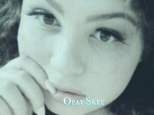 Opay_Skye