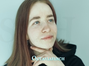 Octaviafinch