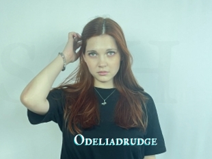 Odeliadrudge