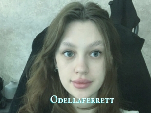 Odellaferrett