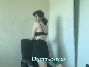 Odettacaecus