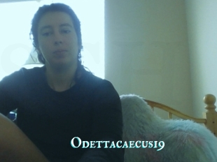 Odettacaecus19