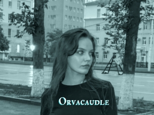 Orvacaudle