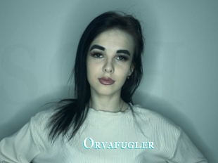 Orvafugler