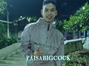 PAISABIGCOCK