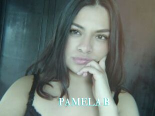 PAMELA_B
